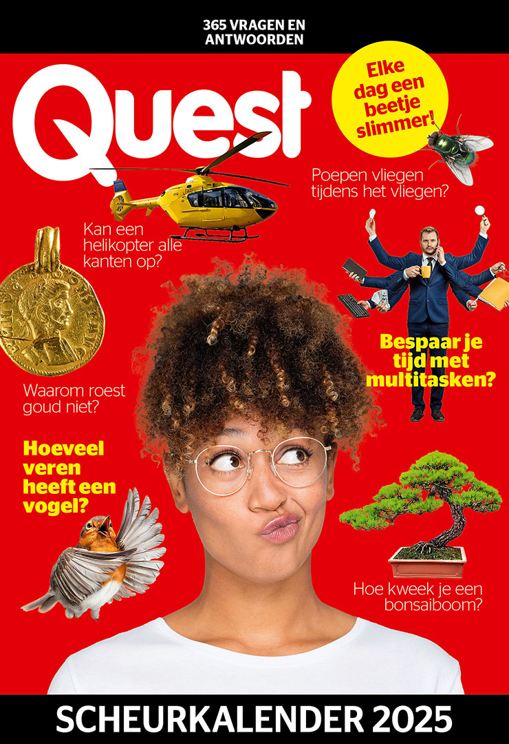 Quest Scheurkalender 2025