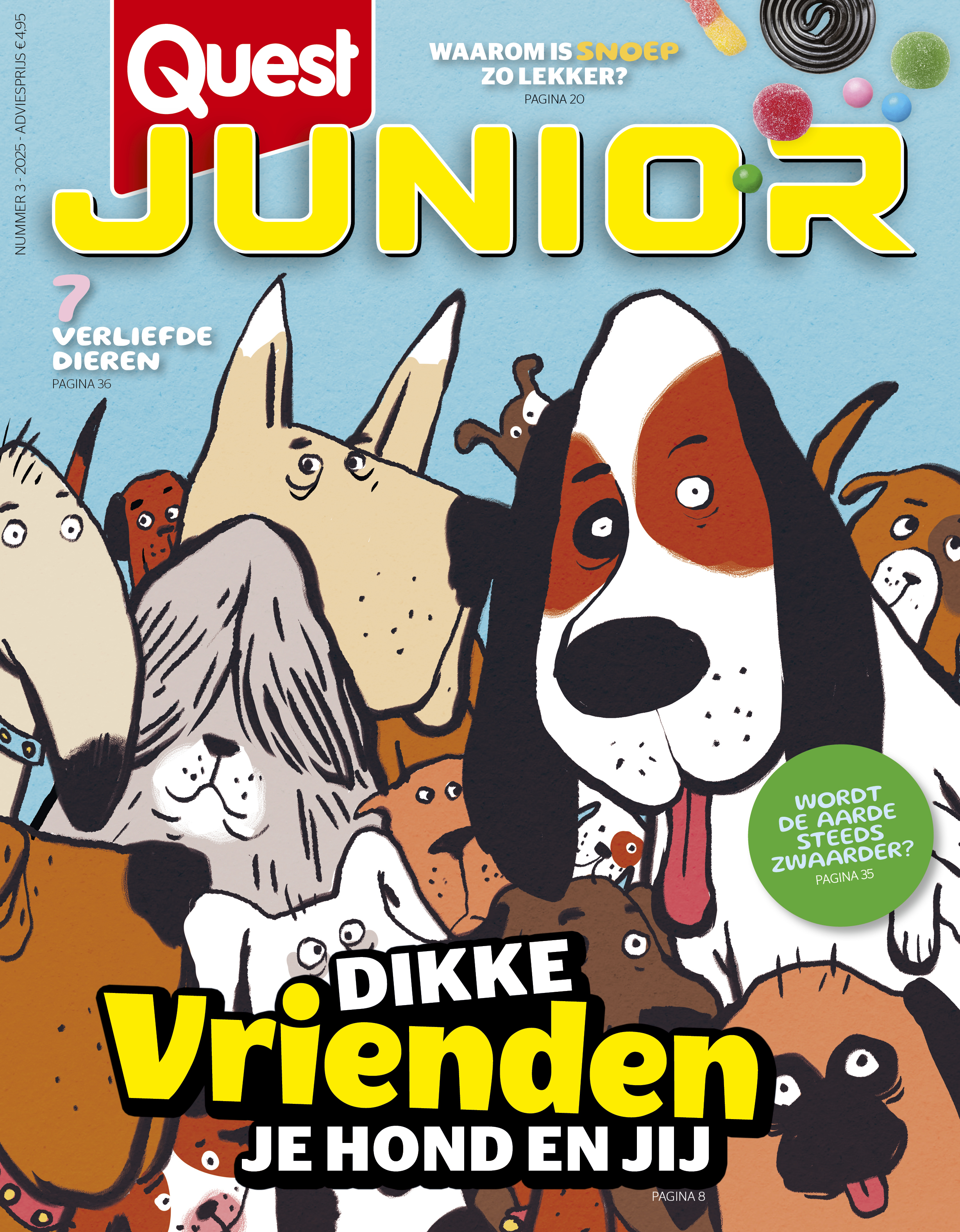20x Quest Junior